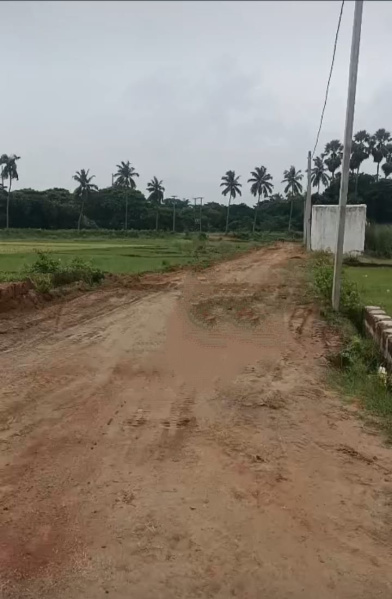 Trisulia, Cuttack photo 2