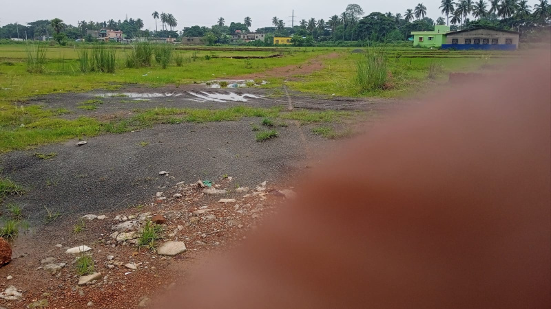Trisulia, Cuttack photo 3