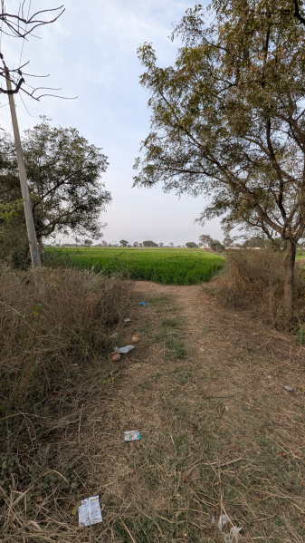  4 Acre Agricultural/Farm Land for Sale in Dhatir, Palwal