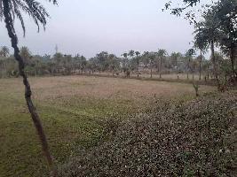  Agricultural Land for Sale in Raghunathpur Purulia