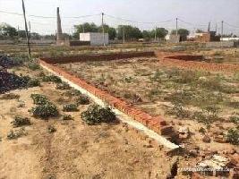  Residential Plot for Sale in Sector 131 Noida