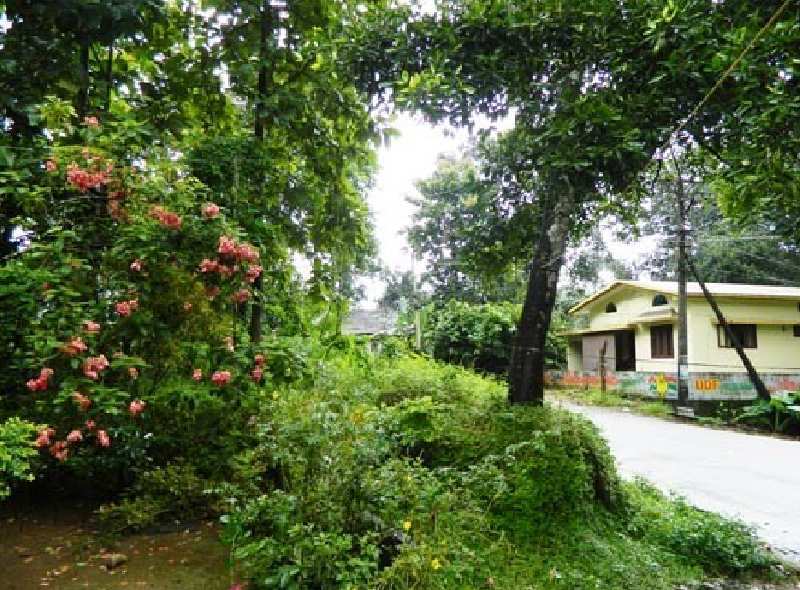Residential Plot 10 Cent for Sale in Anchal, Kollam