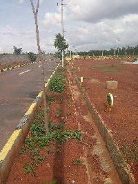  Residential Plot for Sale in Devanahalli, Bangalore