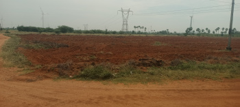  Agricultural Land for Sale in Manur, Tirunelveli
