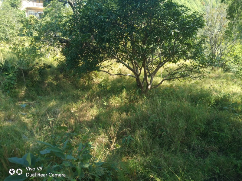  1000 Sq. Yards Guest House for Sale in Pauri, Pauri Garhwal