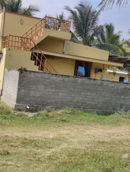  Agricultural Land for Sale in Pollachi, Coimbatore