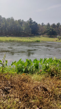 Agricultural Land for Sale in Pollachi, Coimbatore