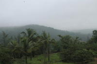  Residential Plot for Sale in Kolthare, Dapoli, Ratnagiri