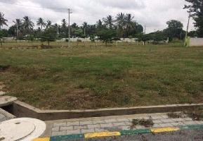  Residential Plot for Sale in Sarjapur Road, Bangalore