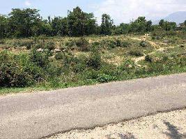  Industrial Land for Sale in Rajpur, Palampur