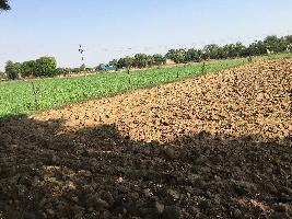  Agricultural Land for Sale in Bawal, Rewari
