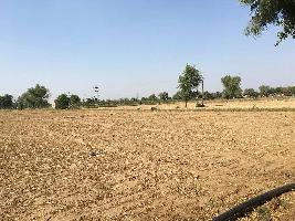  Commercial Land for Sale in Patauda, Jhajjar
