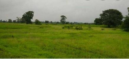  Agricultural Land for Sale in Rewari Rural