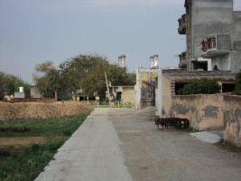  Residential Plot for Sale in Tigaon, Faridabad