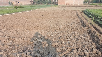  Residential Plot for Sale in Basudevpur, Munger