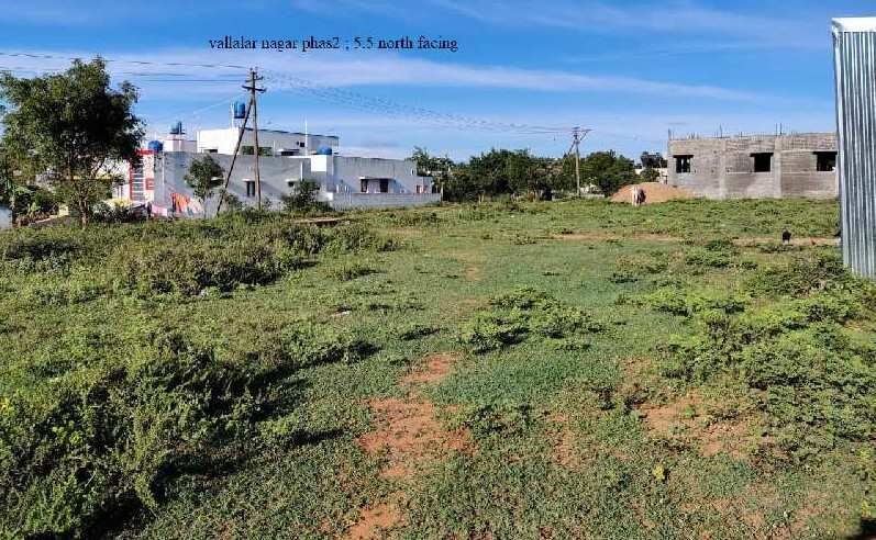  Residential Plot 6 Cent for Sale in Pollachi, Coimbatore