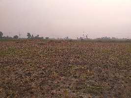  Agricultural Land for Sale in Landran Banur Road, Mohali