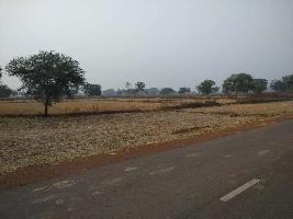  Agricultural Land for Sale in Bhatagaon, Raipur