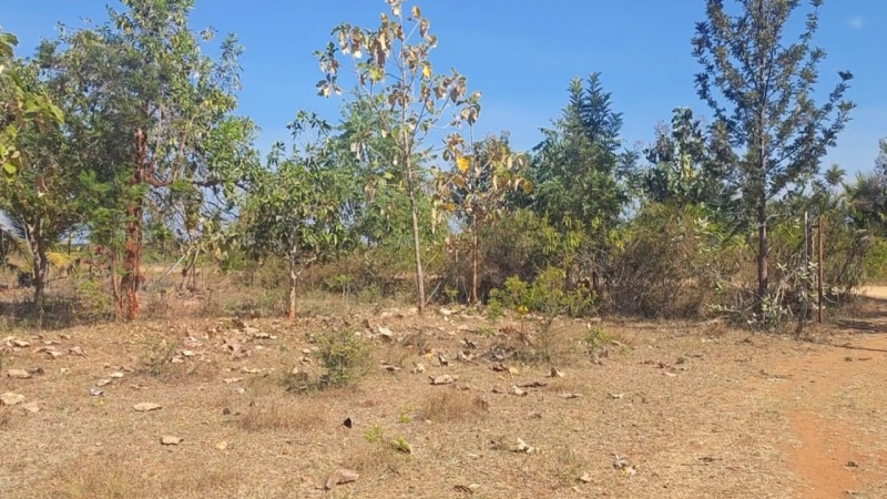  Agricultural Land 80 Acre for Sale in Mysore Road, Mysore Road, Bangalore