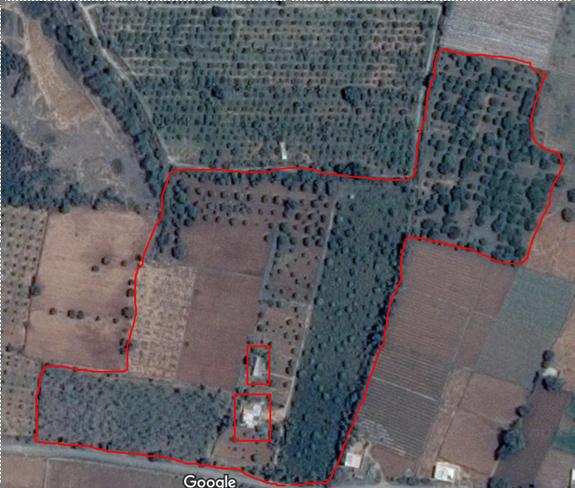 Agricultural Land 12 Acre for Sale in Mulbagal, Kolar