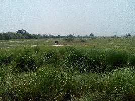  Agricultural Land for Sale in Rasulabad, Kanpur Dehat