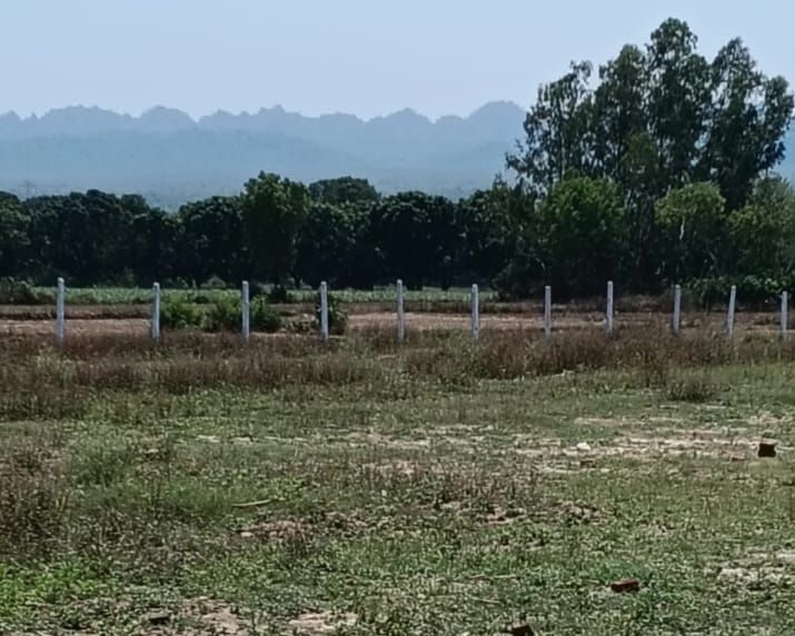 1 BHK Farm House 1 Bigha for Sale in Chakrata Road, Dehradun