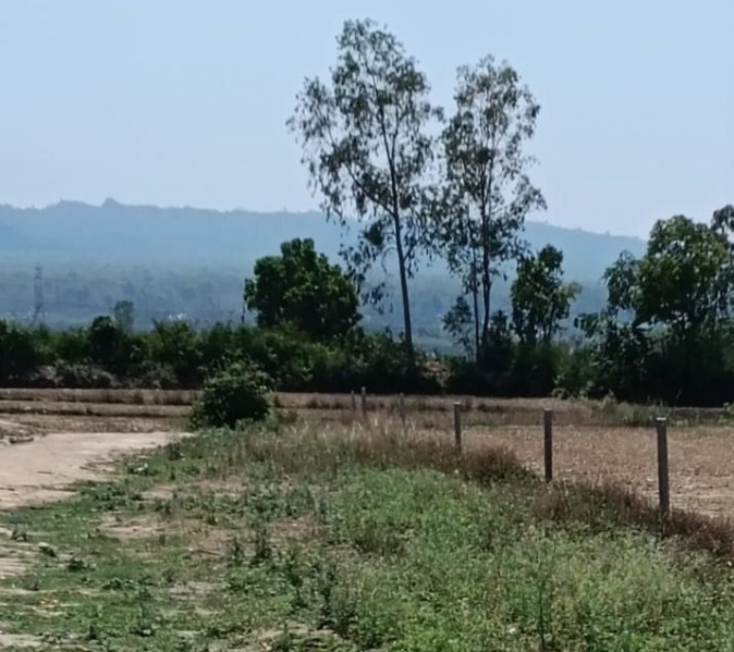 1 BHK Farm House 1 Bigha for Sale in Chakrata Road, Dehradun