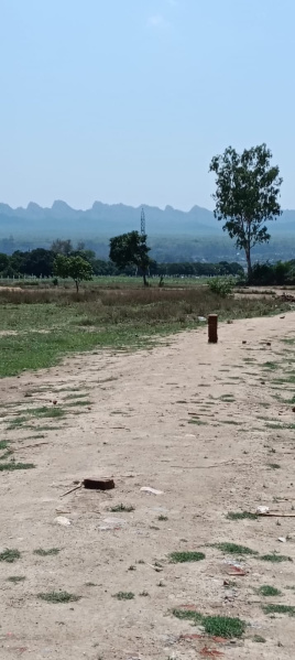  Commercial Land 532 Bigha for Sale in Selakui, Dehradun