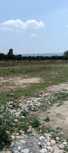  Commercial Land 532 Bigha for Sale in Selakui, Dehradun
