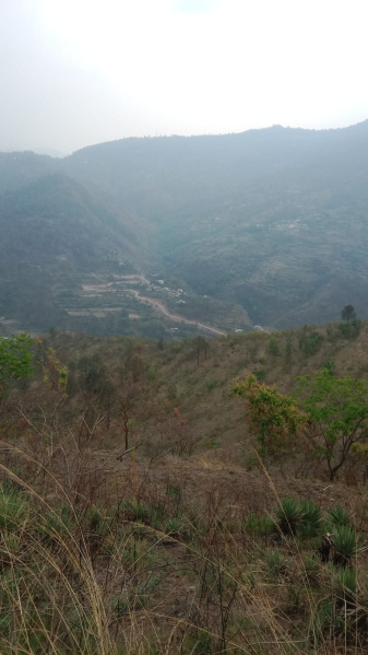  Residential Plot 130 Cent for Sale in Narendra, Tehri Garhwal