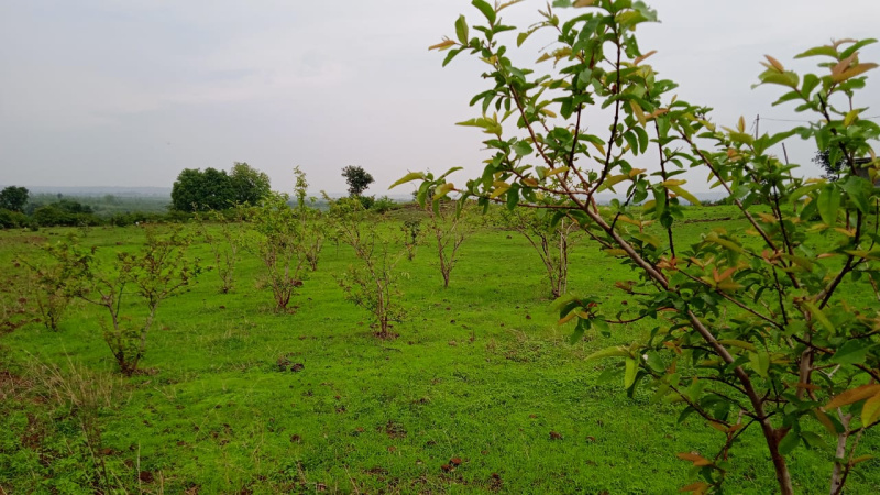20 Acre Agricultural/Farm Land for Sale in Bandhavgarh National Park, Umaria