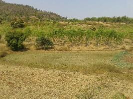  Agricultural Land for Sale in Pushprajgarh, Anuppur