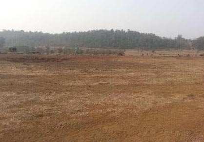  1000 Sq.ft. Residential Plot for Sale in Sitapur Road, Lucknow