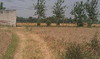  Residential Plot for Sale in Gomti Nagar, Lucknow