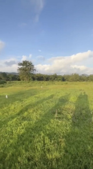  Residential Plot for Sale in Dodamarg, Sindhudurg