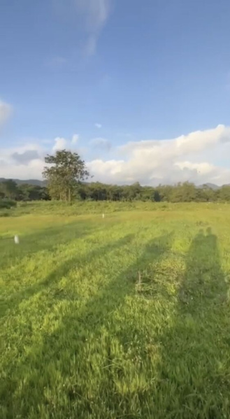  Residential Plot 225 Sq. Meter for Sale in Dodamarg, Sindhudurg