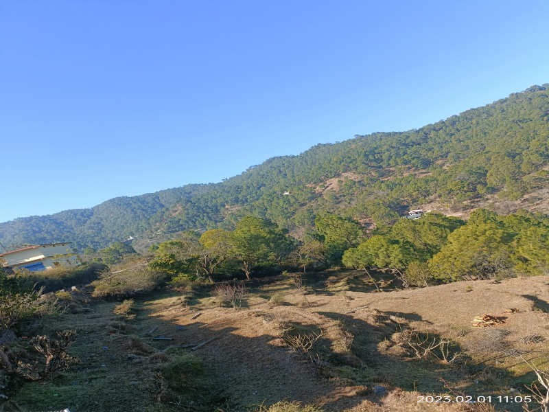 Commercial Land 146 Bigha for Sale in Kandaghat, Solan