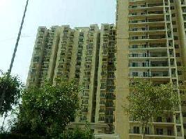 1 BHK Flat for Sale in Sector 75 Noida