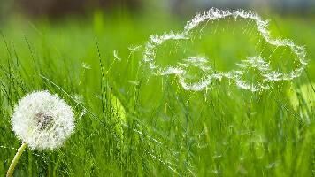  Residential Plot for Sale in Subhash Nagar, Kota