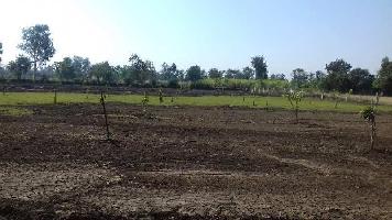  Agricultural Land for Sale in Degam, Navsari