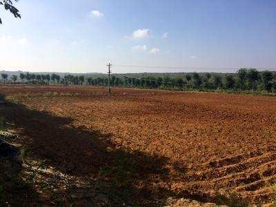 Agricultural Land 2 Acre for Sale in Shrigonda, Ahmednagar
