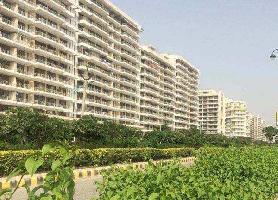 3 BHK Flat for Sale in TDI City Kundli, Sonipat