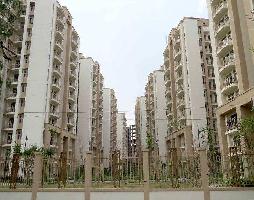 3 BHK Flat for Sale in Sector 10 Sonipat