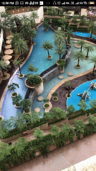 2 BHK Apartment 1000 Sq.ft. for Rent in Ghodbunder Road, Thane