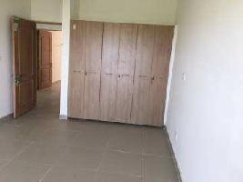 1 BHK Flat for Rent in Kothrud, Pune