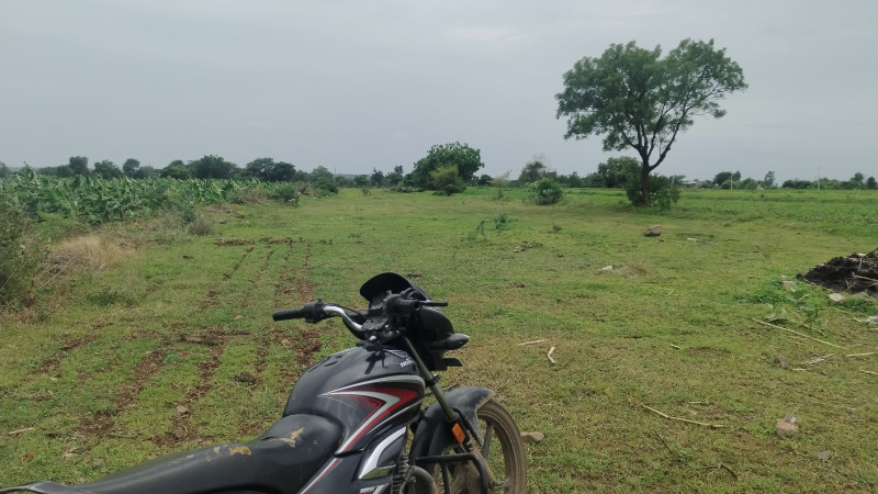  Agricultural Land 100 Acre for Sale in Panvel, Raigad