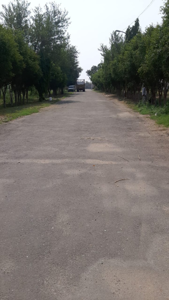  Residential Plot 950 Acre for Sale in Marve Road, Malad West, Mumbai