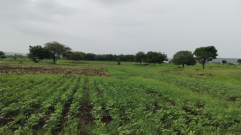  Agricultural Land for Sale in Tarikere, Chikmagalur
