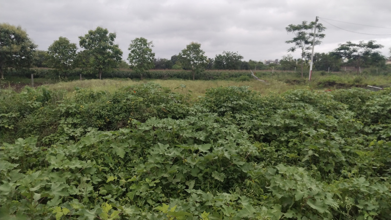  Commercial Land 100 Acre for Sale in Chincholi, Solapur