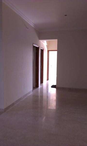 2 BHK Apartment 900 Sq.ft. for Rent in Collectors Colony,